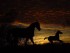 Beyond Beliefs