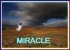 TheMiracle